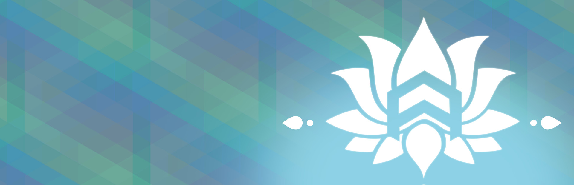 DSY: Don't Shoot Yourself