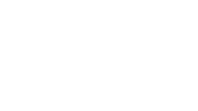 DSY: Don't Shoot Yourself Logo