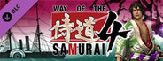 Way of the Samurai 4 - Where Are They Now? Set