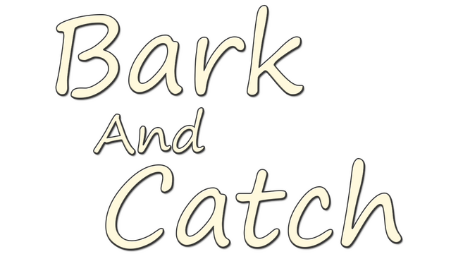 Bark and Catch Logo