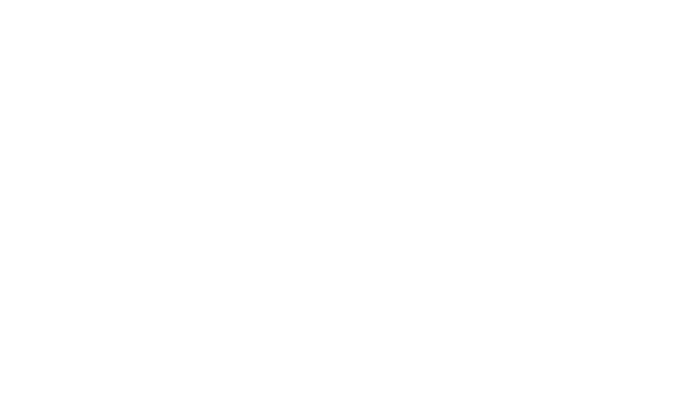 Zenith Logo