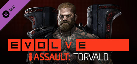 Torvald - Hunter (Assault Class) cover art