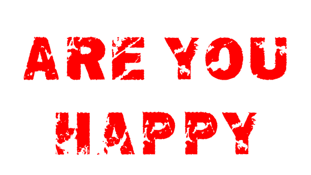 Are You Happy Logo