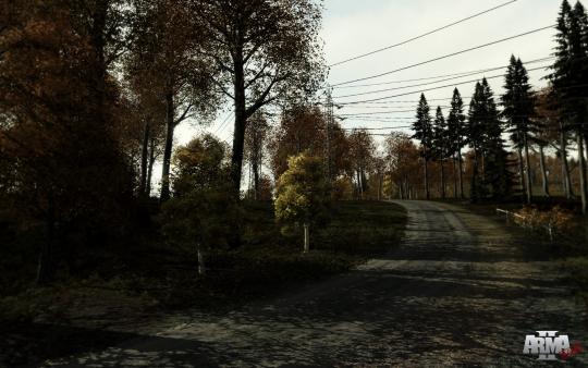 Скриншот из Arma 2