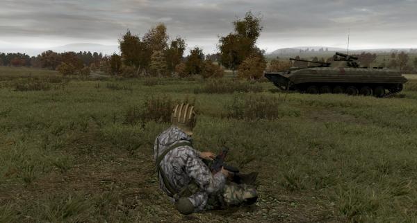 Скриншот из Arma 2