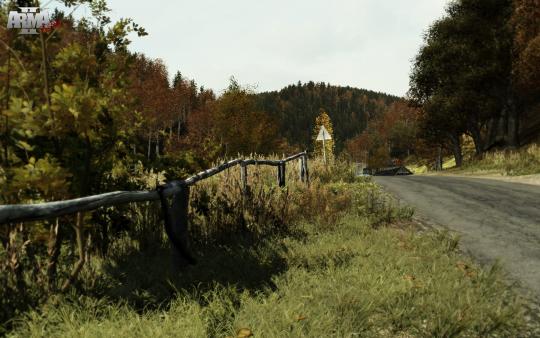 Скриншот из Arma 2
