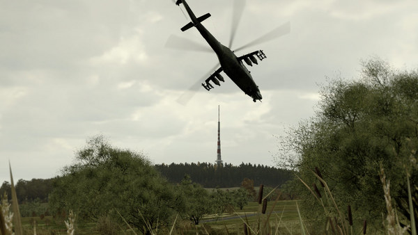 Скриншот из Arma 2