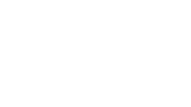 VisualSoft3D Logo