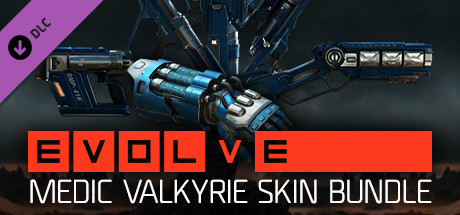 Medic Valkyrie Skin Pack cover art