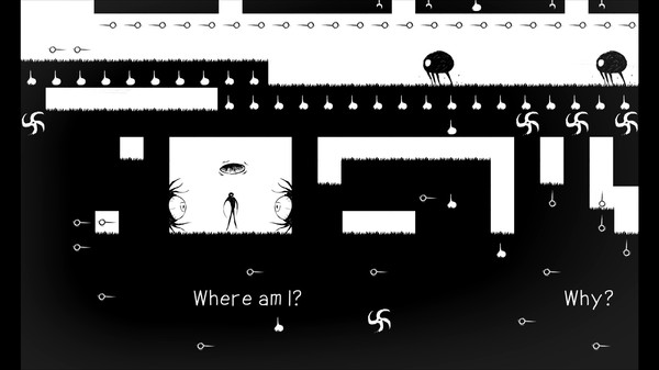 Symfor windows and Linux 1