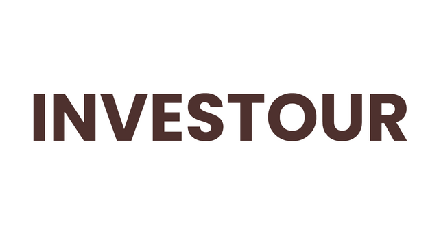 Investour Logo
