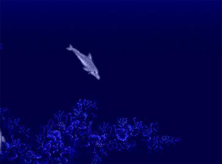 Скриншот из Ecco the Dolphin