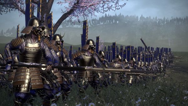 Скриншот из Total War: SHOGUN 2 - Sengoku Jidai Unit Pack DLC