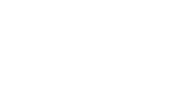 Project DE Logo