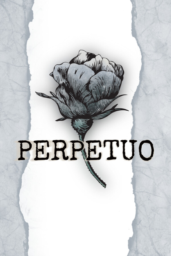 Steam portrait for Perpetuo.