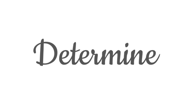 Determine Logo
