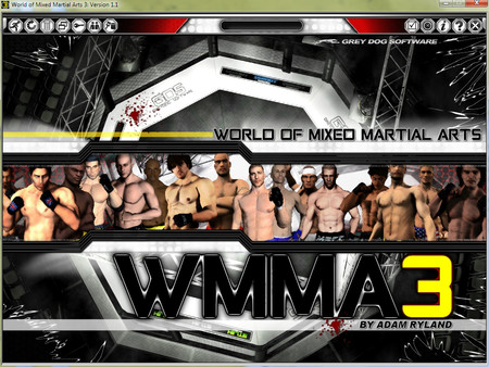 Скриншот из World of Mixed Martial Arts 3