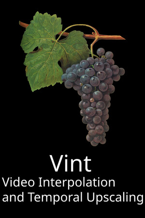 Vint: Video Temporal Upscaling and Interpolation.
