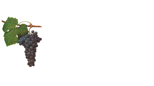 Vint: Realtime Video Interpolation and CRT Emulation Logo