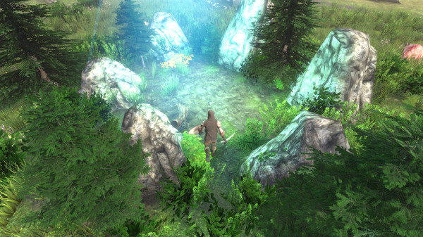 A Feeble Sagafor windows and Linux 1