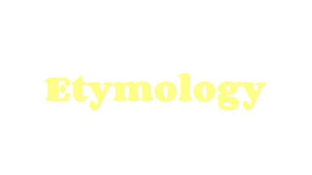 Etymology Logo
