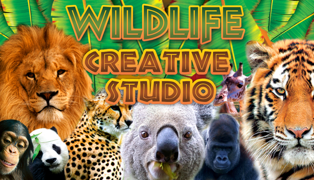 Wildlife Creative Studio
