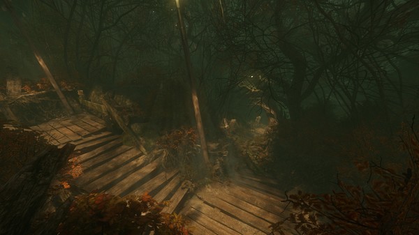 Скриншот из The Cursed Forest