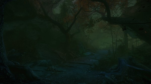 Скриншот из The Cursed Forest