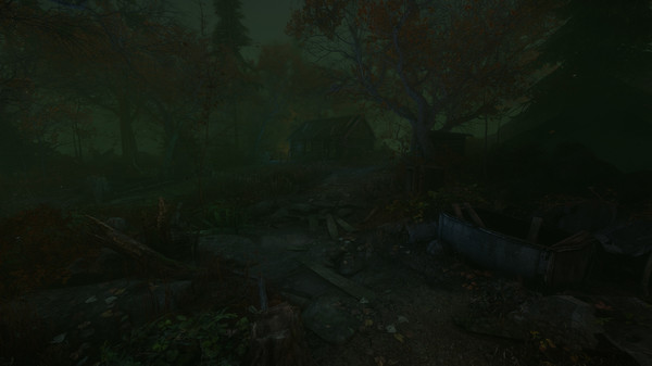 Скриншот из The Cursed Forest