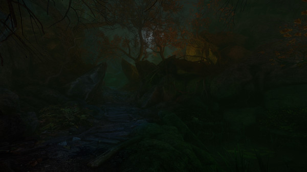 Скриншот из The Cursed Forest
