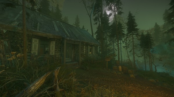 Скриншот из The Cursed Forest