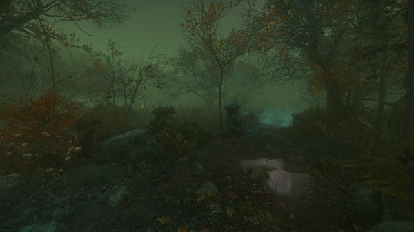 Скриншот из The Cursed Forest