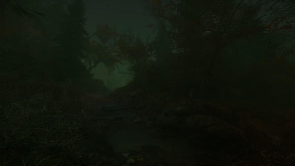 Скриншот из The Cursed Forest
