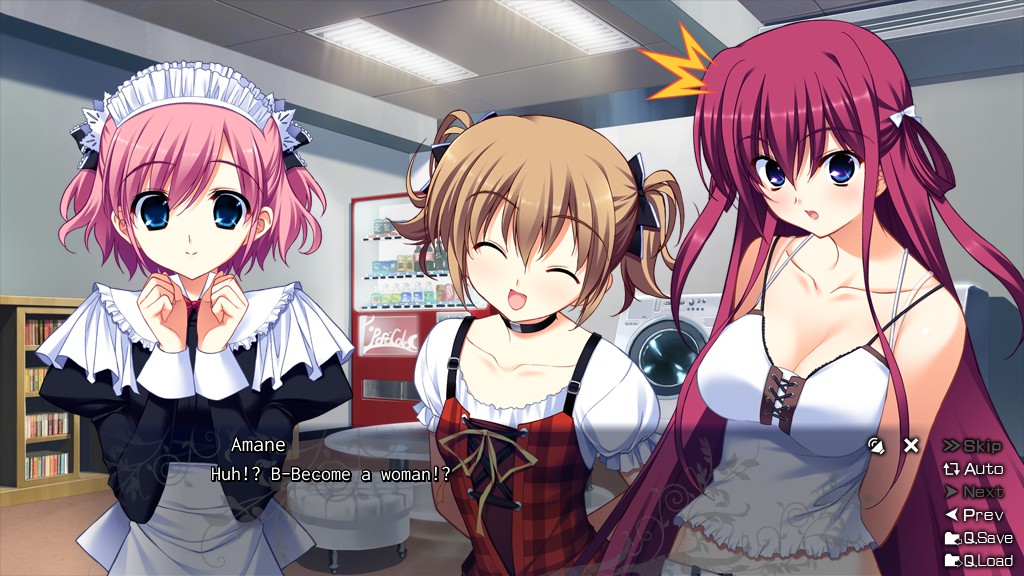 the labyrinth of grisaia denpasoft