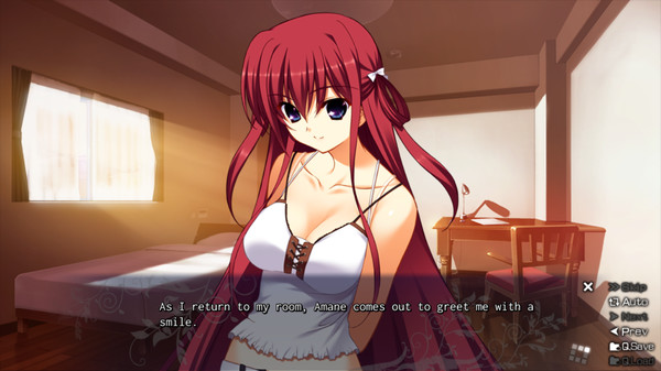 The Labyrinth of Grisaia game for Linux 1