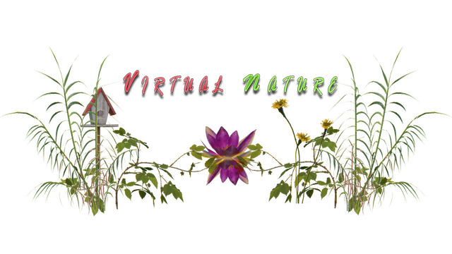 Virtual Nature Logo