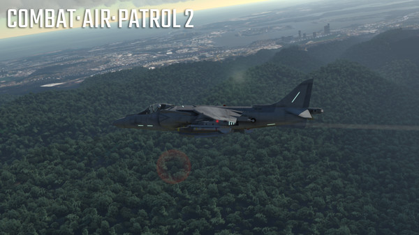 Скриншот из Combat Air Patrol 2