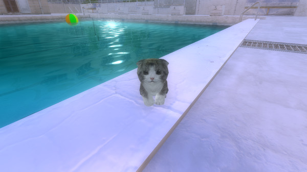 Kitten Super Adventure screenshot