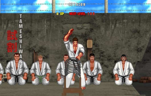 Karate Master 2 Knock Down Blow minimum requirements