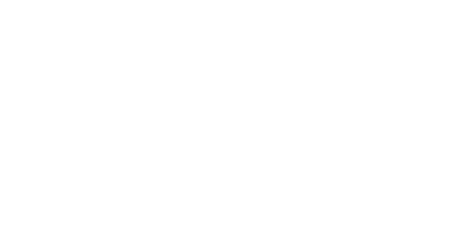 Anturi Logo