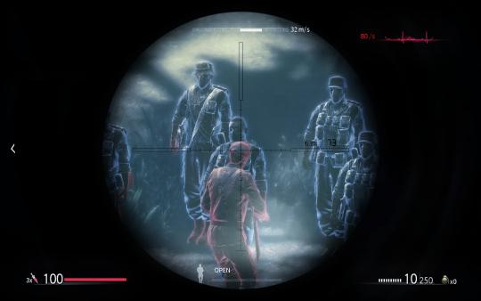 Скриншот из Sniper: Ghost Warrior