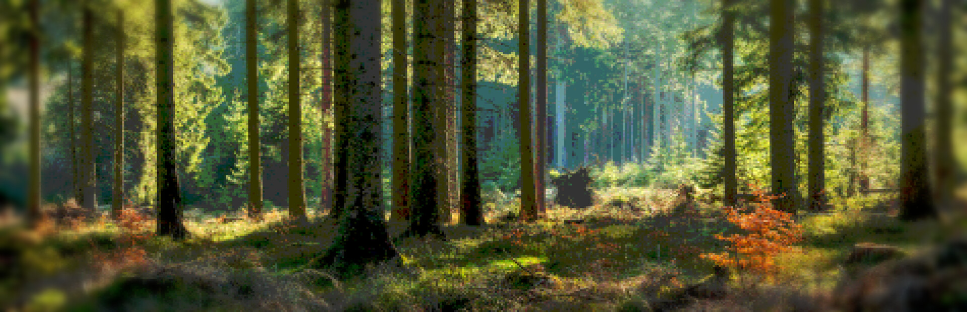 ULTRA X-TREME HUNTING SIMULATOR 2001