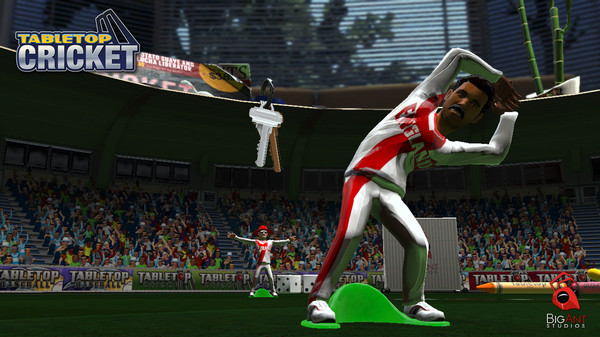 TableTop Cricketfor windows and Linux 1
