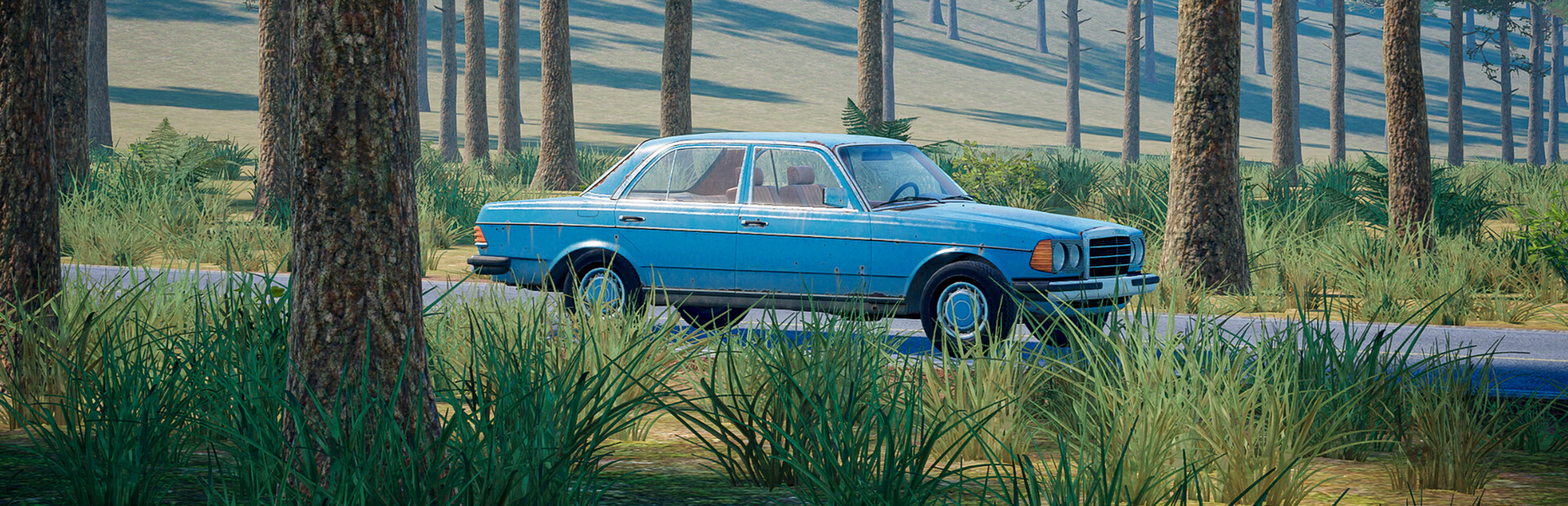 Country Drive Simulator