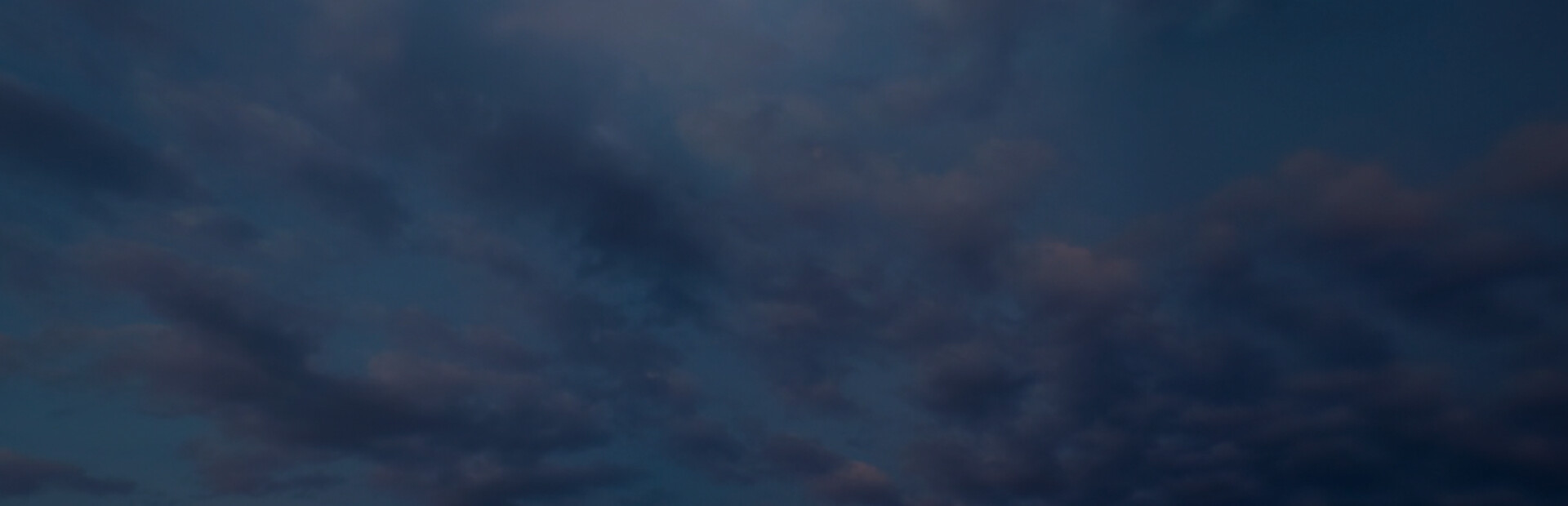 Cactus Simulator Remake