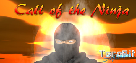 Call of the Ninja! cover art