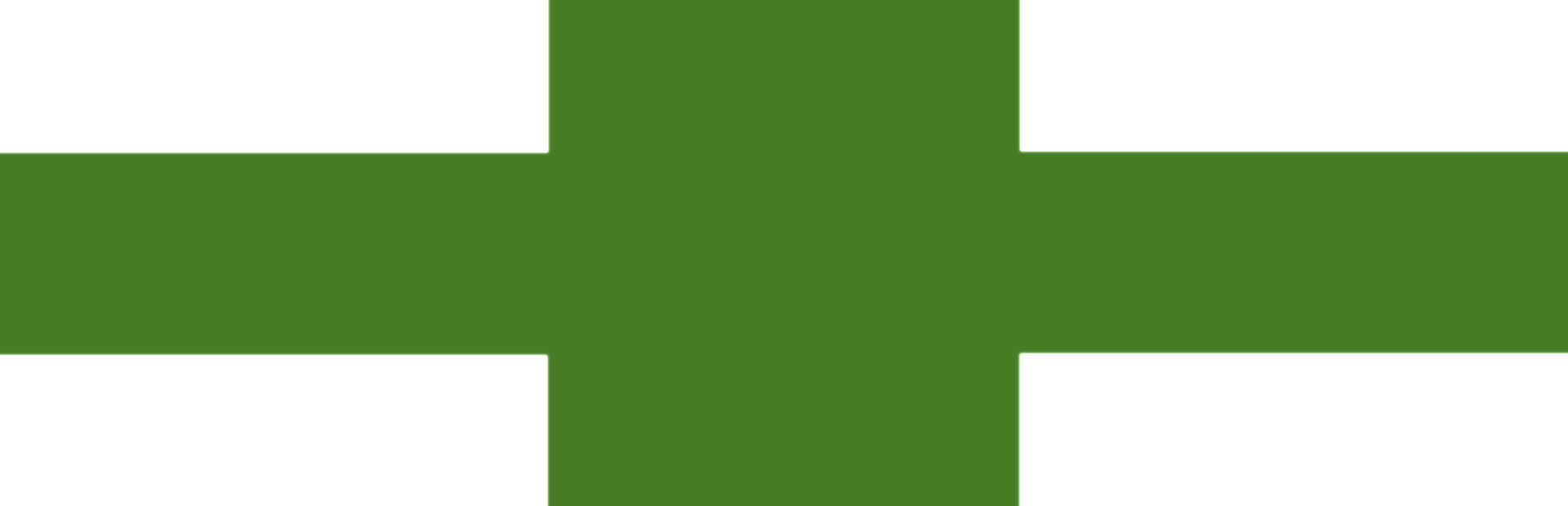 Der Fachinformatiker-Trainer