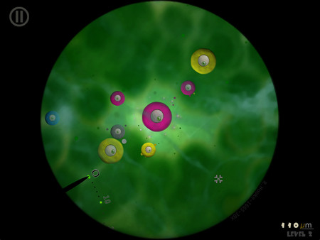 Little Cellsfor windows and Linux 1