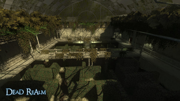 Скриншот из Dead Realm