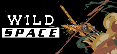 Wild Space cover art